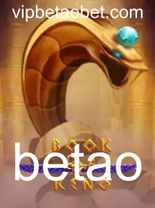 Tudo o que você precisa saber sobre o jogo BookOfKeno